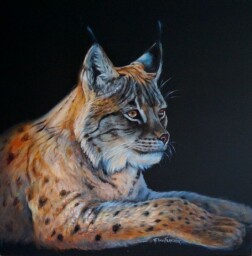 Our treasures - lynx-eyed
